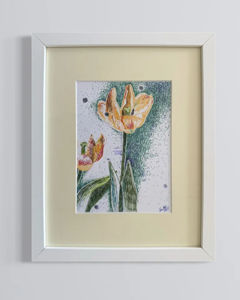 Mazurskie tulipany